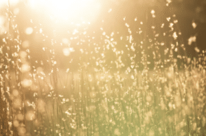 enjoy the sun