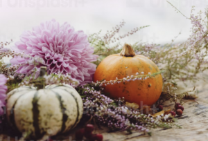pumkin