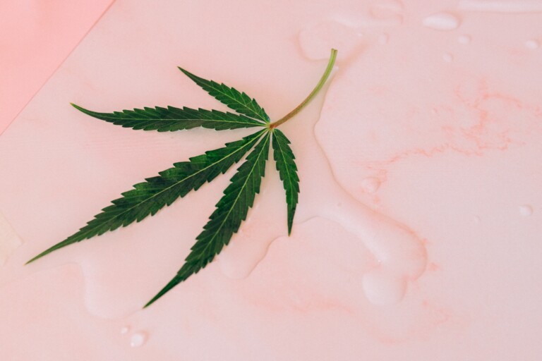 Sexy Cannabis Themed Items