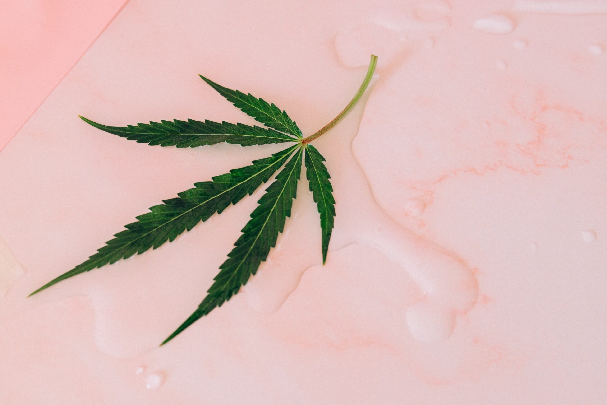 Sexy Cannabis Themed Items